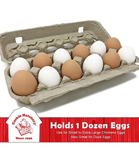 72 Pack of Vented Egg Cartons in Paper Pulp