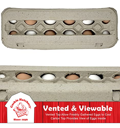 72 Pack of Vented Egg Cartons in Paper Pulp