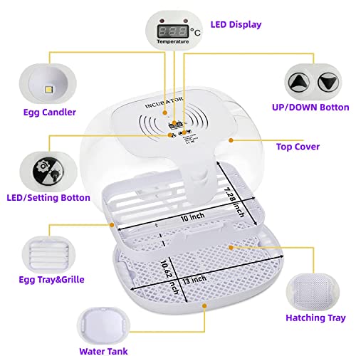 Chickens Incubators: Automatic Hatcher for Various Poultry Eggs