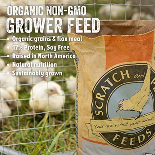 Organic Chicken and Duck Feed - 25-lbs