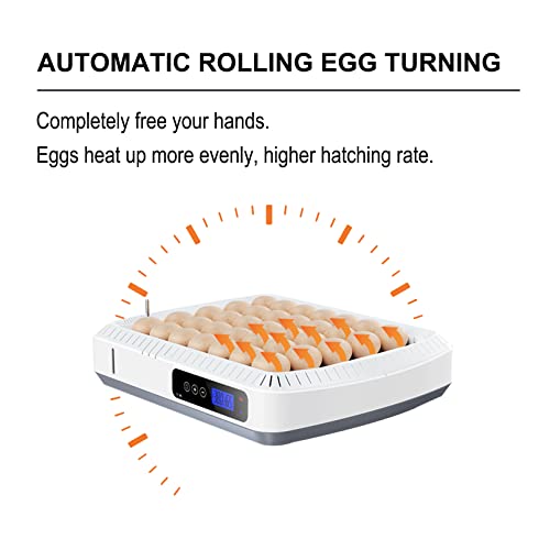 35-56 Egg Automatic Incubator for Chickens, Ducks, Quails