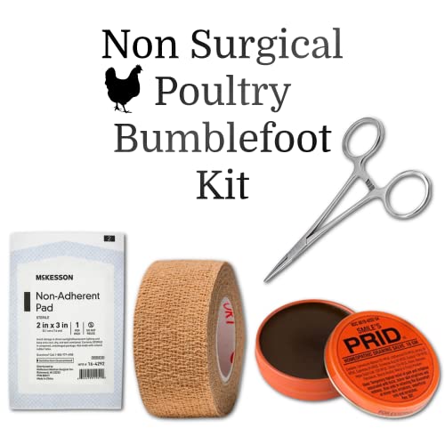 Non-Surgical Bumblefoot Treatment Kit for Chickens