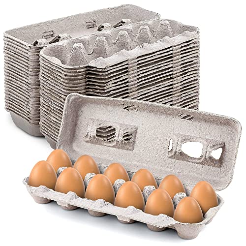 Natural Pulp Egg Cartons - Holds 12 Eggs | 1 Dozen | Sturdy & Eco-friendly | Extra Eggs Storage