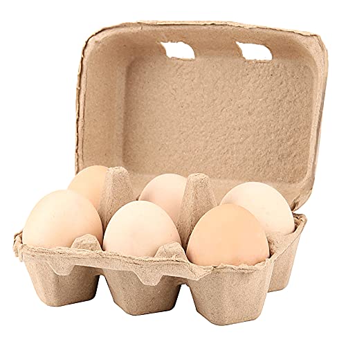 40 Pack Egg Cartons, 6 Cell Chicken Egg Organizer