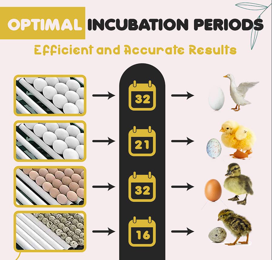 Industrial Egg Incubator, Automatic 48 Unit+Digital Display