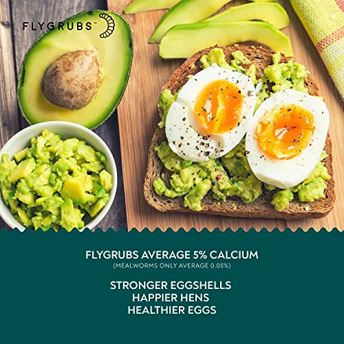 FLYGRUBS Non-GMO Chicken Feed with Extra Calcium (5lb)
