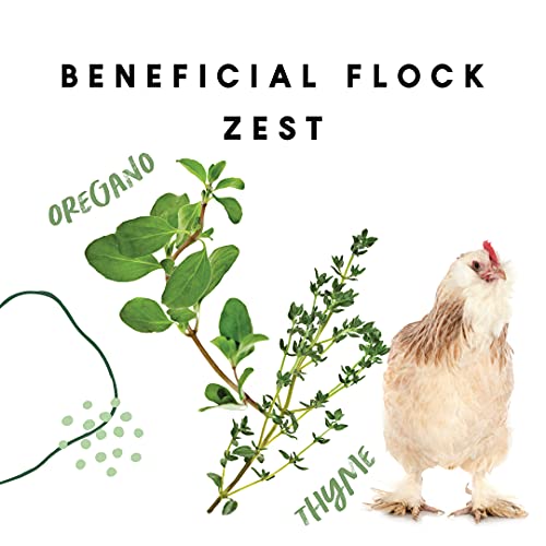 Garden Delight Chicken Treats - Poultry Coop Snack