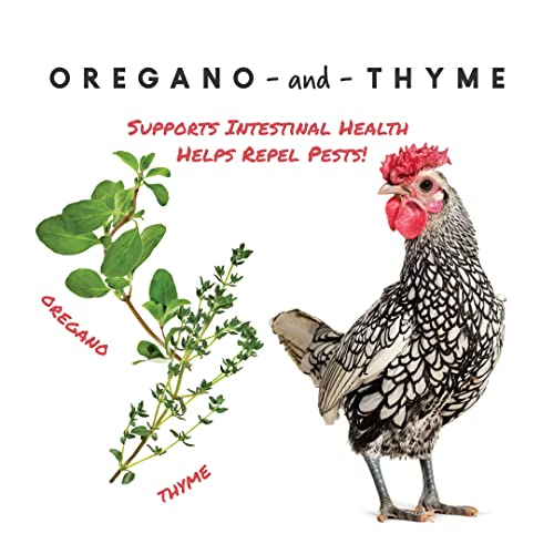 Manna Pro Harvest Delight - Mixed Flock Chicken Treat