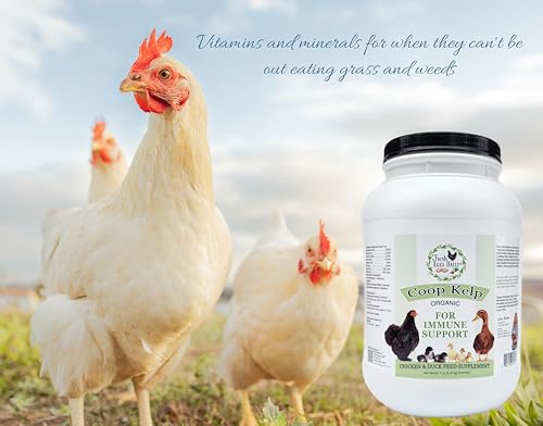 Organic Coop Kelp Feed for Chickens & Ducks