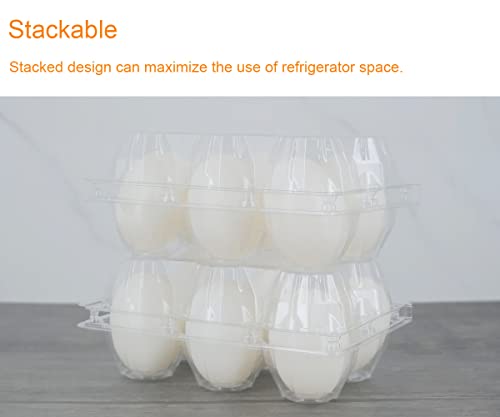 Clear Eco-friendly Plastic Egg Cartons - 60 Packs