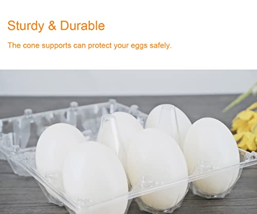 Clear Eco-friendly Plastic Egg Cartons - 60 Packs