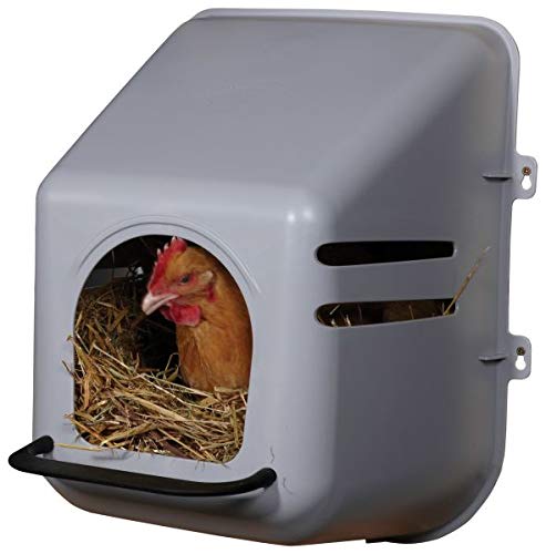 Miller Large Wall Mount Egg Nesting Boxes