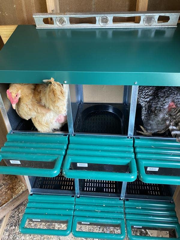 3 Compartment Roll Out Nesting Box for Chickens