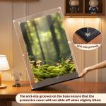 Transparent Acrylic Display Case for Labubu Dolls