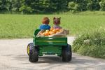Peg Perego Kids 12V John Deere Electric Gator