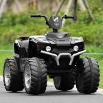 12V Electric Quad Bike for Kids with Bluetooth