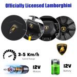 Luxury Kids Lamborghini Electric Ride-On Car