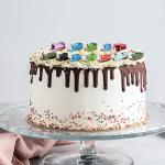 Mini Train Cake Topper Set with Pull Back Cars