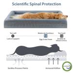 XL Washable Dog Bed with Bolster Sides