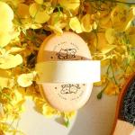 Menesia Soft Palm Brush for Dogs and Cats