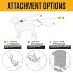 Durable Carhartt Reflective Dog Leash, Black