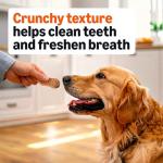 Peanut Butter Crunchy Dog Biscuits 5 lb