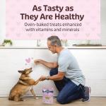 Blue Buffalo Heart-Shaped Crunchy Dog Treats