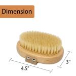 Casidoxi Soft Bristle Pet Brush for Dogs and Cats