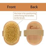 Casidoxi Soft Bristle Pet Brush for Dogs and Cats