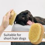 Casidoxi Soft Bristle Pet Brush for Dogs and Cats