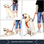 Plutus Pet 6ft Heavy Duty Dog Leash