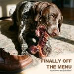 Kseroo Indestructible Dog Chew Toys - 3 Pack