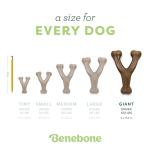 Benebone Wishbone Giant Chew Toy for Dogs