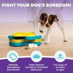 Outward Hound Dog Tornado Interactive Treat Puzzle