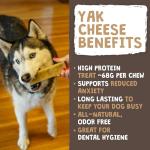 Mighty Paw Yak Cheese Chews for Aggressive Chewers
