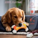 2 Pack Tough Dog Toys for Aggressive Chewers