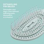 Eco-Friendly Detangling Pin Brush for Dogs