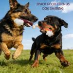 2 Pack Tough Dog Toys for Aggressive Chewers