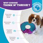 Nina Ottosson Dog Twister Puzzle Treat Toy