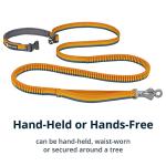 Ruffwear Roamer Bungee Dog Leash - Yellow Snow