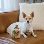 Outward Hound Squirrel Cache Toy for Dogs