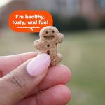 Buddy Biscuits Softies Peanut Butter Dog Treats