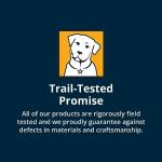 Ruffwear Roamer Bungee Dog Leash - Yellow Snow