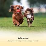 LED Dog Nail Clippers with Safety Features