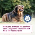 Douxo S3 Calm Shampoo for Itchy Skin, 6.7 oz