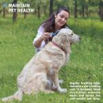 Round Bristle Pet Brush for Dogs and Cats - Soft Dog Brush for Grooming Short or Long Hair - Gentle Tool for Sensitive Skin Removes Dander, Dirt, and Detangles (Blue)