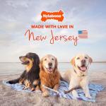 Nylabone Power Chew Groove Bone - Dog Toys for Aggressive Chewers - Durable Dog Toy for Small Breeds - Small Dog Chew Toys - Flavor Medley, Small, Up to 25 Ibs. (1 Count)