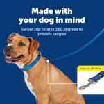 PetSafe Nylon Leash - Strong Dog Leash for Everyday Use - Secure & Simple Design for Reliable Control - Lightweight with Durable Hardware - 3/8 Inch - 6 Feet - Blue