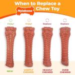Nylabone Power Chew Groove Bone - Dog Toys for Aggressive Chewers - Durable Dog Toy for Small Breeds - Small Dog Chew Toys - Flavor Medley, Small, Up to 25 Ibs. (1 Count)