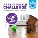 Outward Hound Orbee-Tuff Mazee Interactive Dog Puzzle Toy, Treat Dispensing Slow Feeder Ball, Green, 4.7-Inch